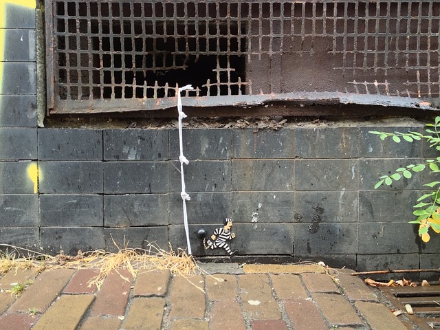 艺术 街道 逃脱 - 上的免费照片