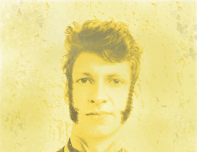 老的 棕褐色 胡须 - 上的免费照片