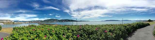 西北太平洋 贝灵厄姆 全景 - 上的免费照片