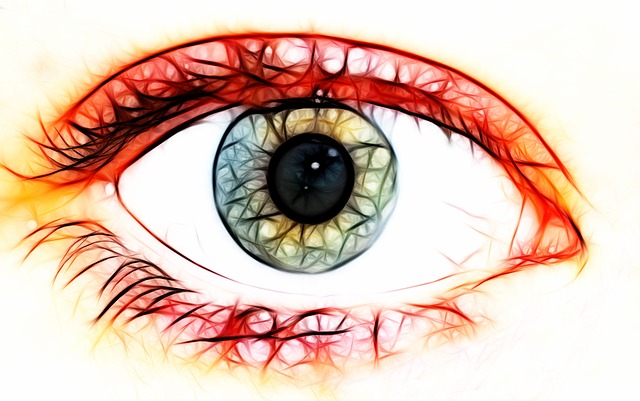 眼睛 瞳孔 想象 - 上的免费图片