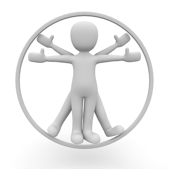 维特鲁威 男人 达芬奇 - 上的免费图片