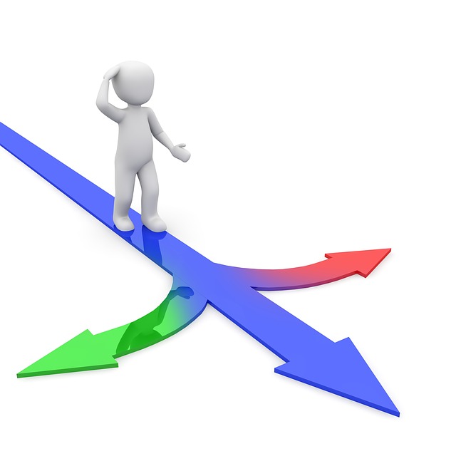 小路 穿越 方向 - 上的免费图片