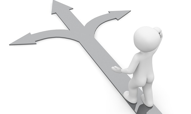 小路 分支 方向 - 上的免费图片