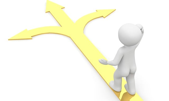 小路 分支 方向 - 上的免费图片