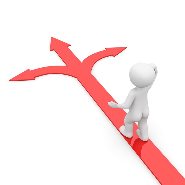 小路 分支 方向 - 上的免费图片