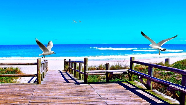 海滩 Orla 海 - 上的免费照片