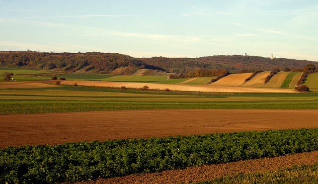 奥地利 波利亚 维诺拉迪 - 上的免费照片