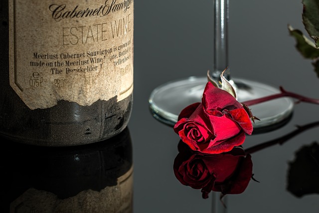 玫瑰 葡萄酒 红色的 - 上的免费照片