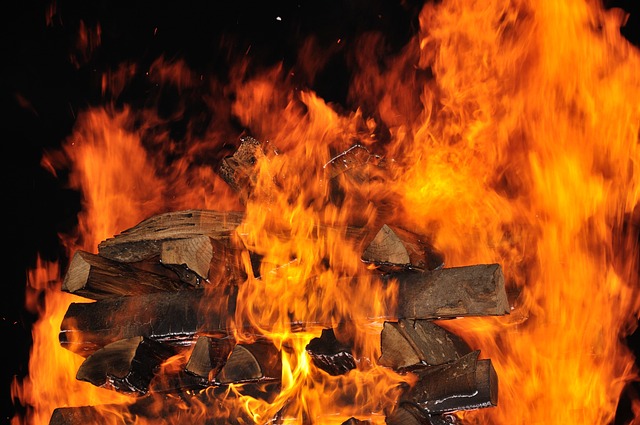 贵宾辅导 参与者 火 - 上的免费照片