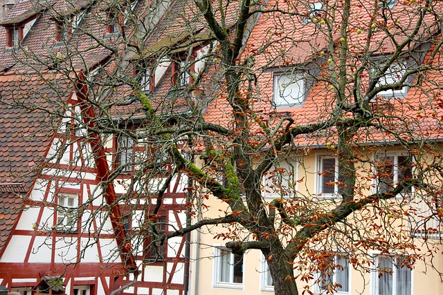 屋顶 德国 多马 - 上的免费照片