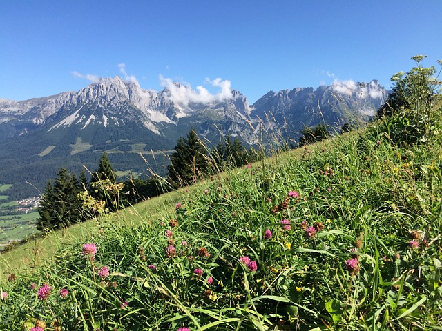 山 阿尔卑斯山 山景观 - 上的免费照片