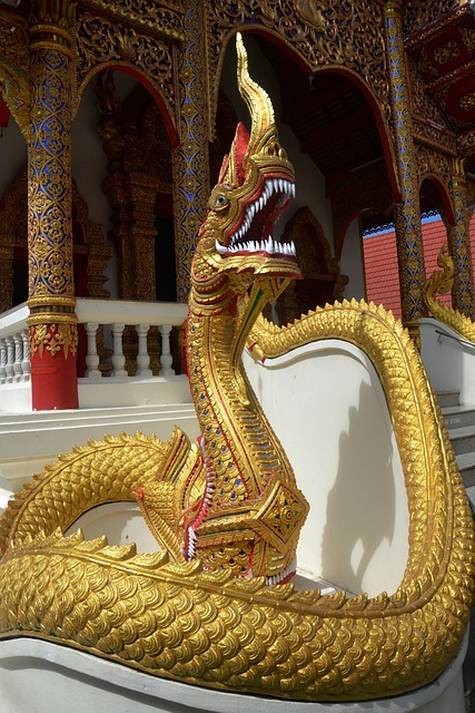蛇 龙 寺庙 - 上的免费照片