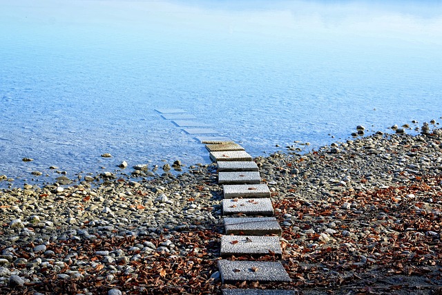 条目 出来了 小路 - 上的免费照片