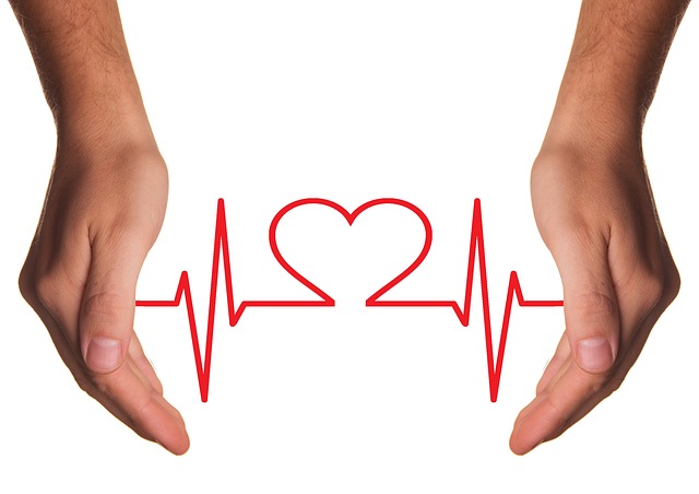 心脏护理 医疗的 关心 - 上的免费图片
