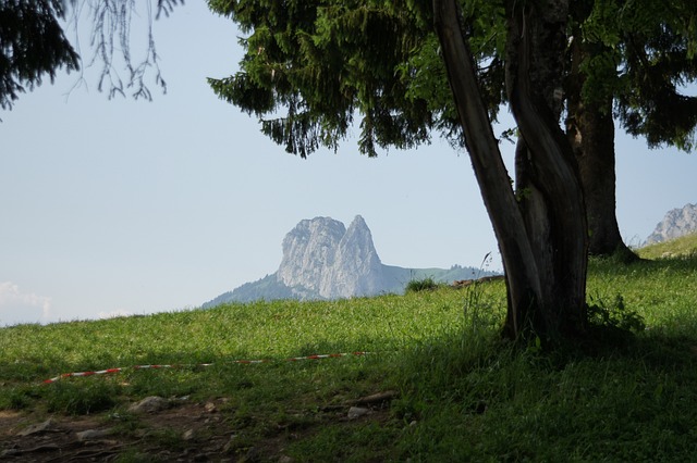 阿讷西 山 草地 - 上的免费照片