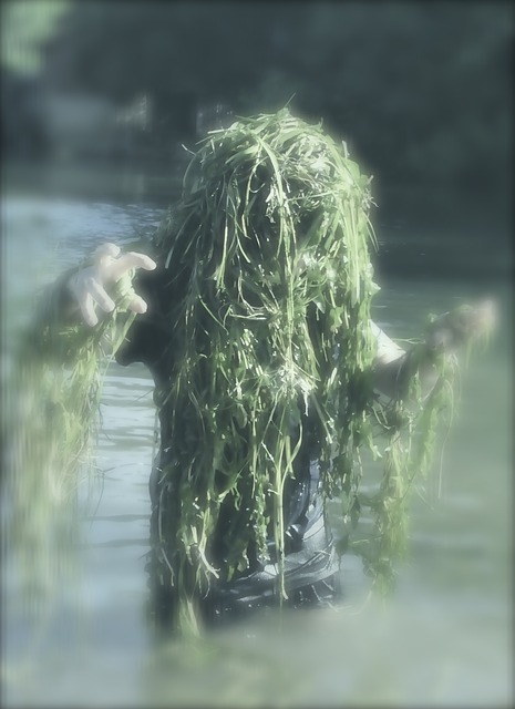 水灵 水瓶座 藻类 - 上的免费照片