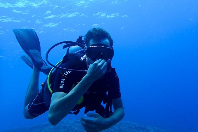 潜水 潜水员 水肺潜水 - 上的免费照片