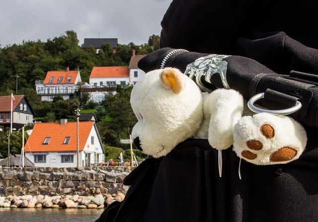 泰迪熊 熊 小熊 - 上的免费照片