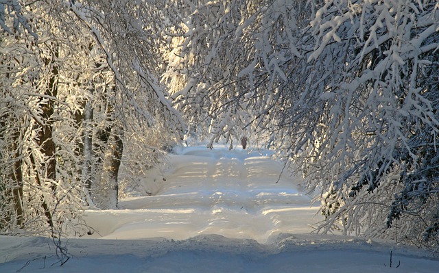 冬天 冬季景观 雪 - 上的免费照片