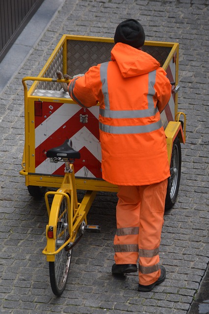 垃圾人 职业 垃圾回收 - 上的免费照片