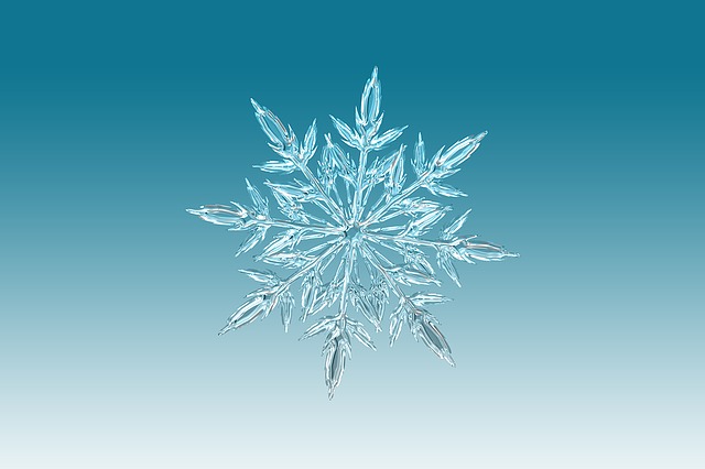 雪花 冰晶 冬天 - 上的免费图片