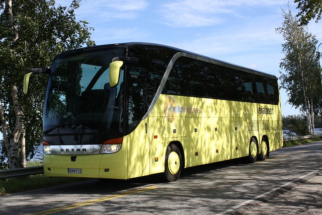 公共汽车 黄色 旅游 - 上的免费照片