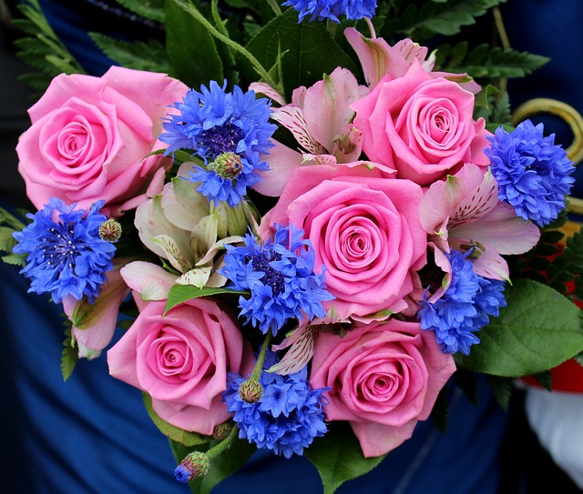 弓箭女王 射击俱乐部 花 - 上的免费照片