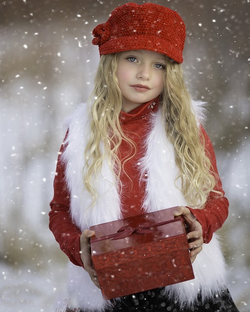 冬季仙境 红色的 雪 - 上的免费照片