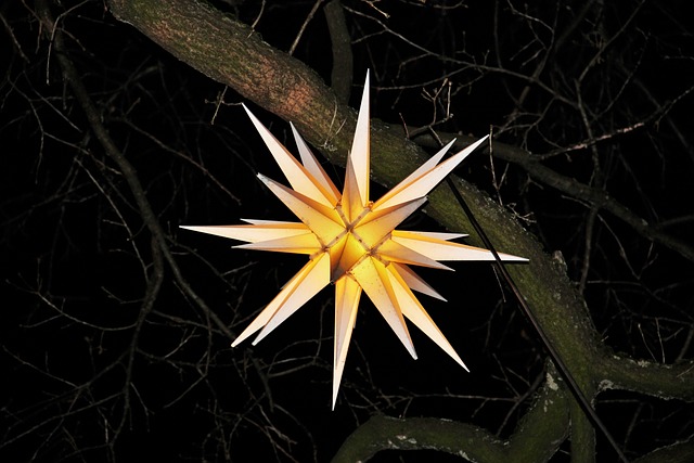 摩拉维亚星级 圣诞装饰 亮闪闪的星星 - 上的免费照片