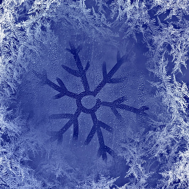 冬天 冰花 霜 - 上的免费图片
