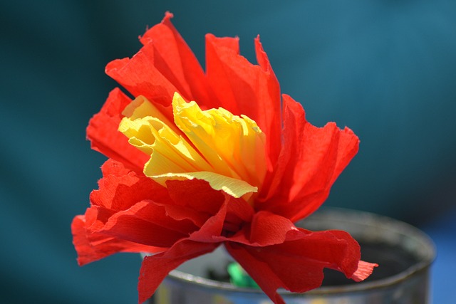 纸花 手工 花 - 上的免费照片