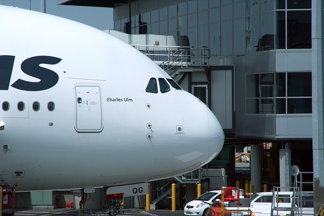 A380 空中客车公司 飞机 - 上的免费照片
