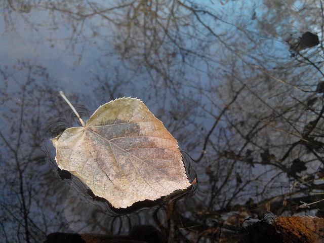 床单 河 秋季 - 上的免费照片