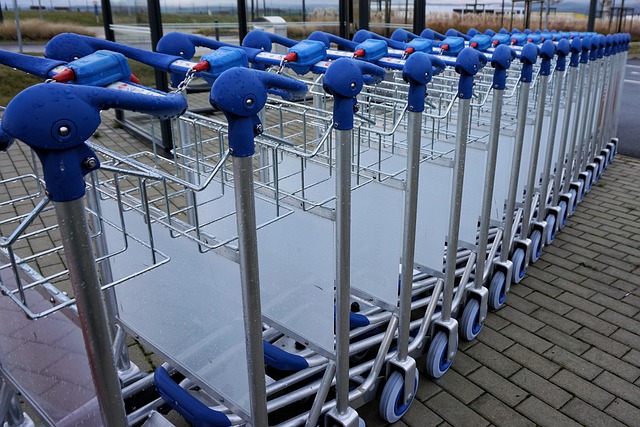 行李车 行李手推车 去旅行 - 上的免费照片