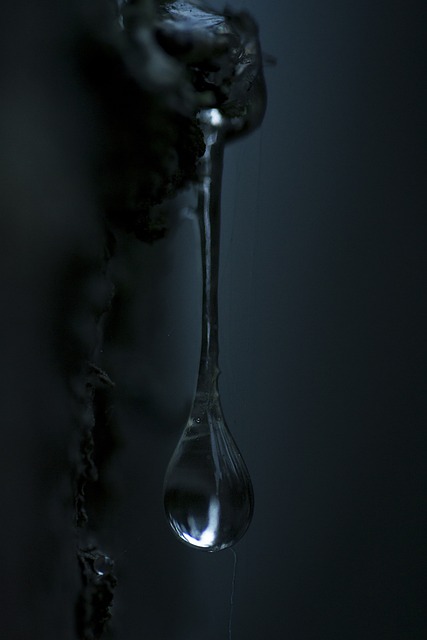 降低 树脂 分泌 - 上的免费照片