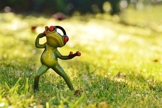 青蛙 草地 头戴式耳机 - 上的免费照片