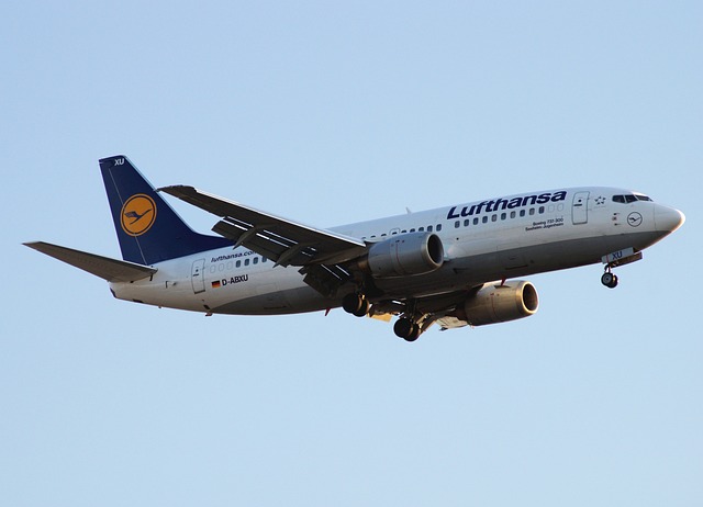 航空 飞机 旅行 B737-330 颜色为 - 上的免费照片