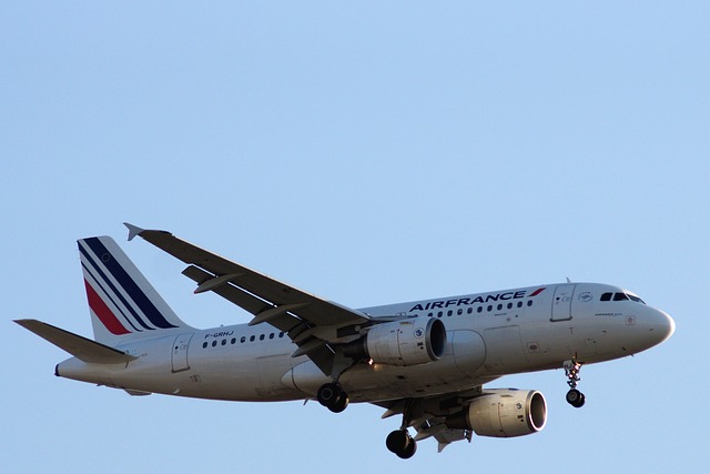 航空 飞机 旅行 A319-111 - 上的免费照片