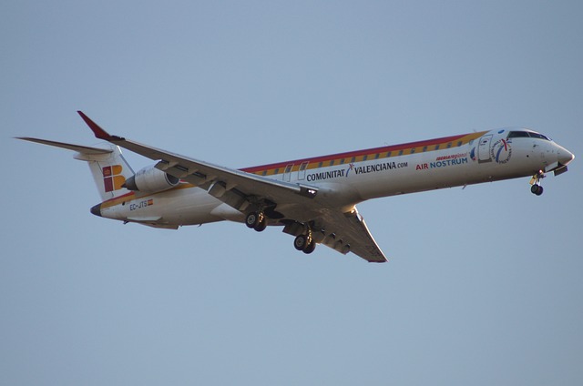 航空 飞机 旅行 来自伊比利亚地区的 Crj - 上的免费照片