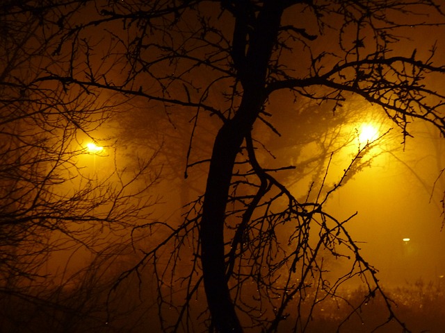 多雾路段 夜晚 光 - 上的免费照片