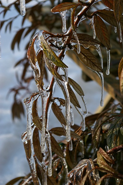 冰柱 冬天 冰淇淋 - 上的免费照片