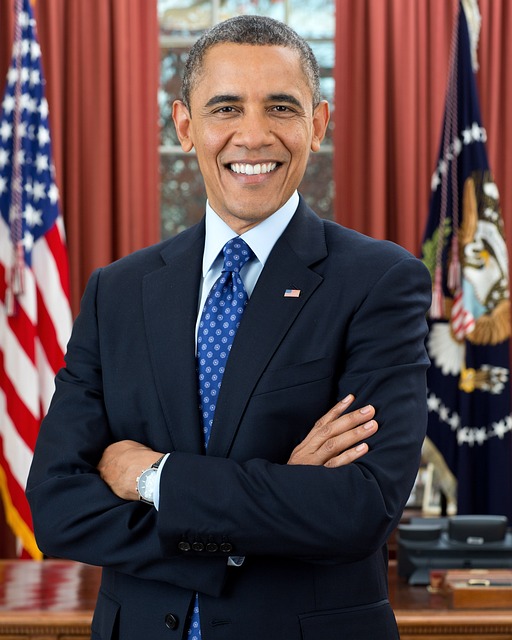 巴拉克奥巴马 官方肖像 美国总统 - 上的免费照片
