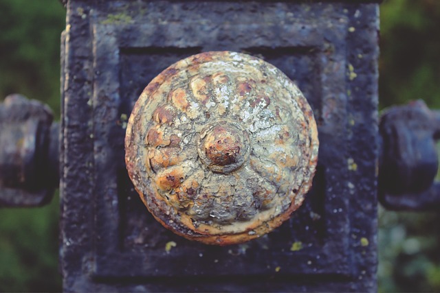 可耐福 装饰 栅栏 - 上的免费照片