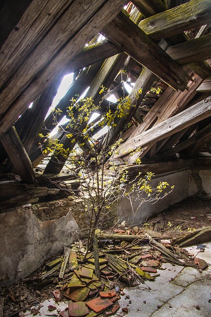 屋架 砖 风暴破坏 - 上的免费照片