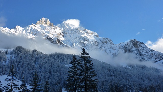 阿德尔博登 冬天 阿尔卑斯山 - 上的免费照片