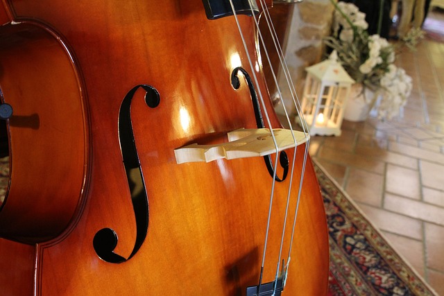 低音提琴 乐器 拱门 - 上的免费照片