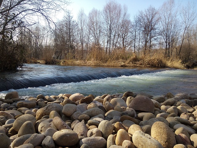 公园 河 伊雷瓜河 - 上的免费照片