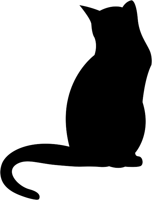 猫 宿醉 小猫 - 免费矢量图形