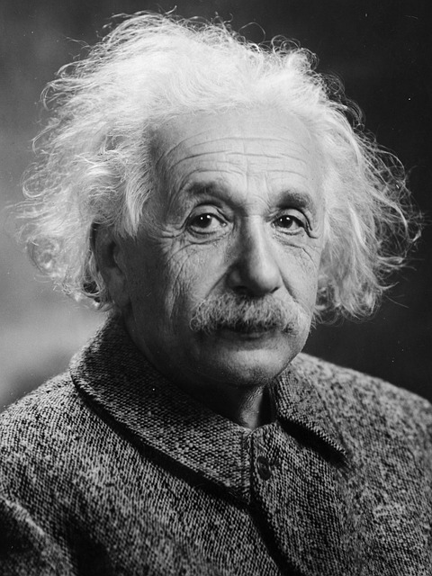 艾尔伯特爱因斯坦 肖像 理论医师 - 上的免费照片