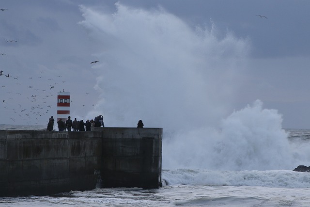 巨浪 卷曲 灯塔 - 上的免费照片